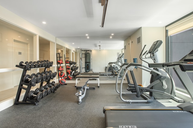image of a home gym in daylight made by Windsor Workout Equipment